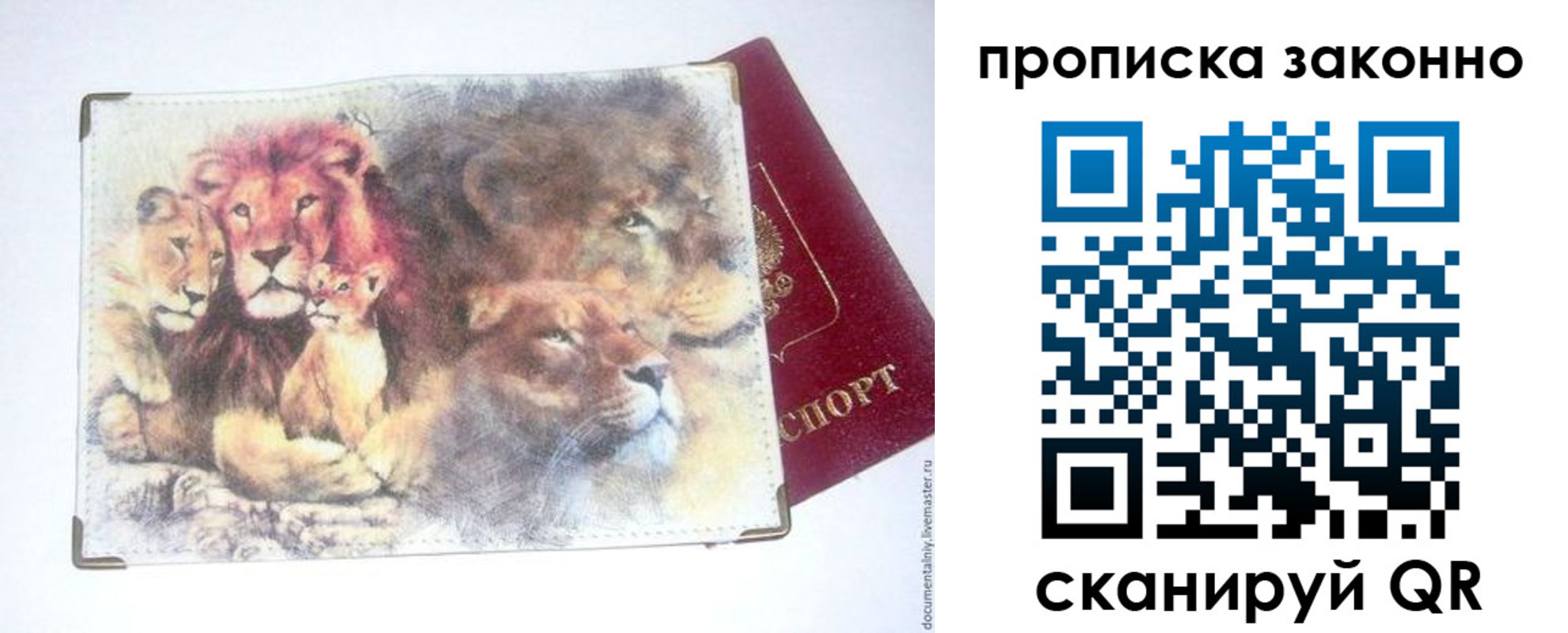 прописка от собственника в Беломорске